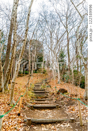 山頂へ続く落ち葉のある階段 122589996