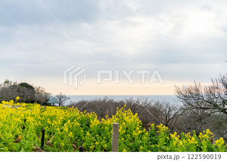 《吾妻山公園》吾妻山公園から望む風景（神奈川県二宮町） 122590019