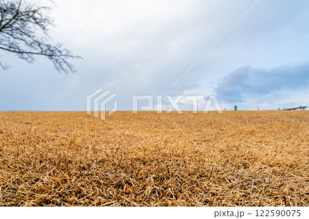 冬の芝生のある風景 122590075