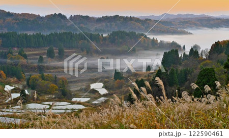 秋の黄葉に染まる星峠 霧たなびく棚田の早朝風景 秋の黄葉に染まる星峠 霧たなびく棚田の早朝風景 122590461