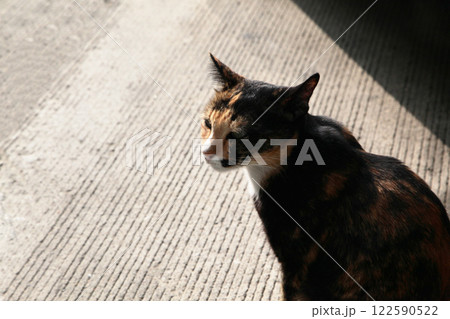 写真撮るのはいいけど、ちゃんと美人に取ってちょうだいね 122590522