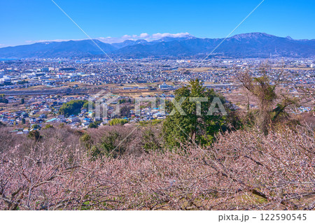 神奈川県小田原市の梅林越しの市街地眺望(小田原市,白銀山,二子山,箱根駒ヶ岳など) 122590545