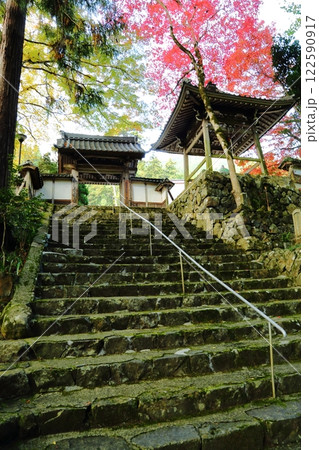 長安寺の参道 122590917