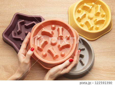 Woman holding slow feeding dog bowl, choosing the right one 122591390