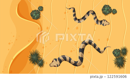 Desert Snakes and Cacti Top View 122591606