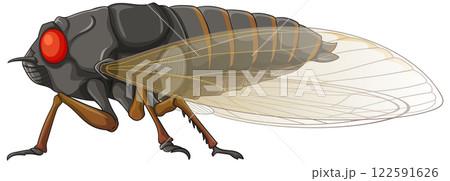 Detailed Cicada Vector Illustration Detailed Cicada Vector Illustration 122591626