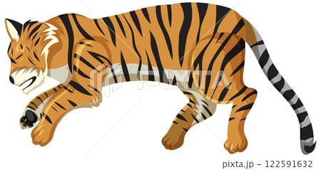 Top View of a Resting Tiger Top View of a Resting Tiger 122591632