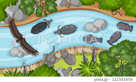 Aerial View of River Wildlife Scene Aerial View of River Wildlife Scene 122591656