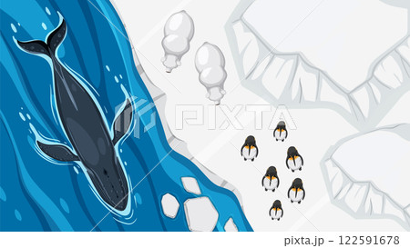 Arctic Wildlife and Biodiversity Illustration 122591678