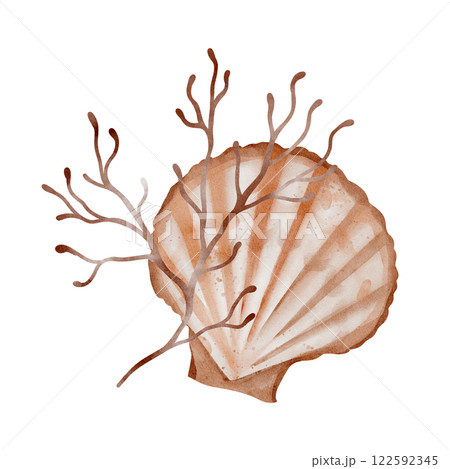Watercolor composition of Seashell and Seaweed. hand drawn illustration of Sea Shell and brown Algae on isolated background. Undersea element for design in marine vintage style. Watercolor composition of Seashell and Seaweed. hand drawn illustration of Sea Shell and brown Algae on isolated background. Undersea element for design in marine vintage style. 122592345