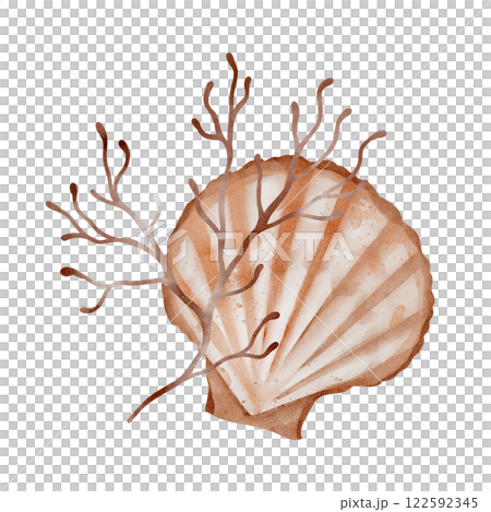 Watercolor composition of Seashell and Seaweed. hand drawn illustration of Sea Shell and brown Algae on isolated background. Undersea element for design in marine vintage style. Watercolor composition of Seashell and Seaweed. hand drawn illustration of Sea Shell and brown Algae on isolated background. Undersea element for design in marine vintage style. 122592345