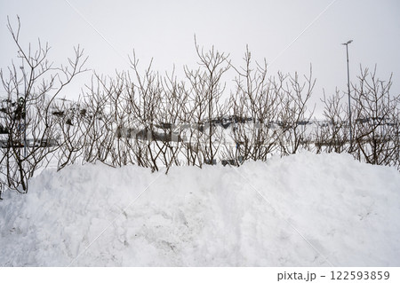 View of snow covered trees on the field in Iceland. Nature, travel, winter background, or wallpaper View of snow covered trees on the field in Iceland. Nature, travel, winter background, or wallpaper 122593859