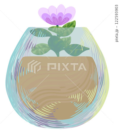 miniature plant mini African violet miniature plant mini African violet 122593903