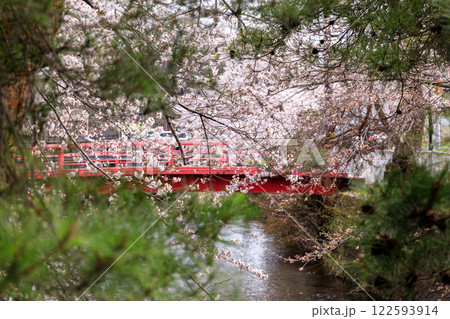 北海道壮瞥町、壮瞥川沿いに咲く桜【4月】 122593914