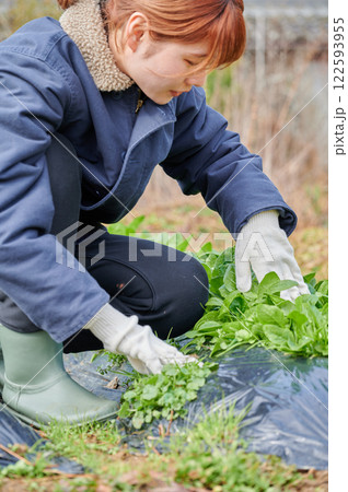 畑作業をする女性 田舎暮らし 家庭菜園 畑作業をする女性 田舎暮らし 家庭菜園 122593955