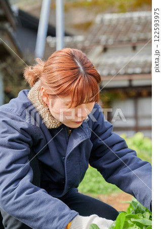 畑作業をする女性 田舎暮らし 家庭菜園 畑作業をする女性 田舎暮らし 家庭菜園 122593975