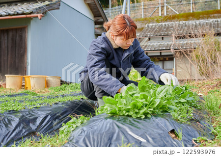 畑作業をする女性 田舎暮らし 家庭菜園 畑作業をする女性 田舎暮らし 家庭菜園 122593976