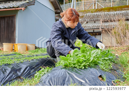 畑作業をする女性　田舎暮らし　家庭菜園 122593977