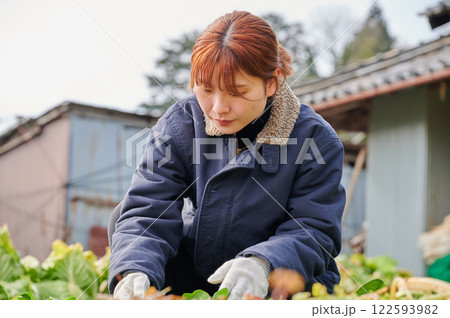 畑作業をする女性 田舎暮らし 家庭菜園 畑作業をする女性 田舎暮らし 家庭菜園 122593982