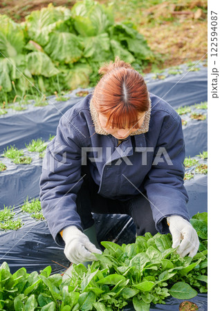 畑作業をする女性　田舎暮らし　家庭菜園 122594087