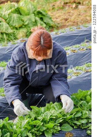 畑作業をする女性 田舎暮らし 家庭菜園 畑作業をする女性 田舎暮らし 家庭菜園 122594088