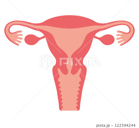 人間の子宮 122594244