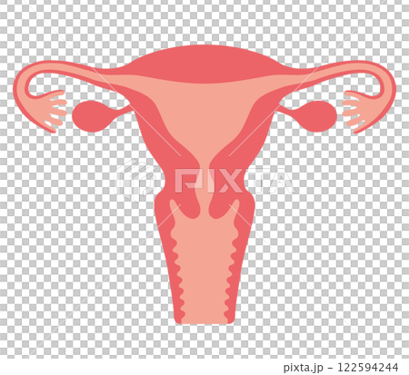 人間の子宮 122594244