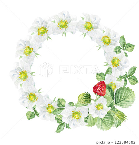 Watercolor frame of white flowers and strawberries. Beautiful frame with strawberry flowers, strawberries, leaves, hand drawn 122594502