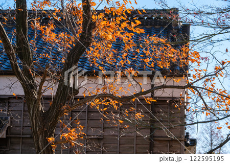 瓦屋根と紅葉 瓦屋根と紅葉 122595195