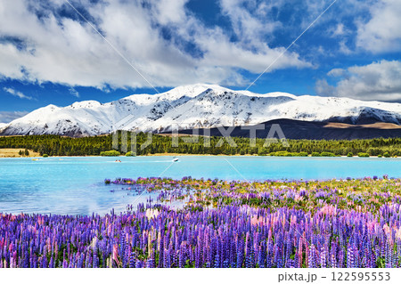 Lake Tekapo, New Zealand 122595553