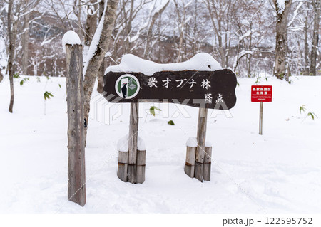 北限のブナ 黒松内 歌才ブナ林 北限のブナ 黒松内 歌才ブナ林 122595752