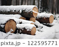 Snowy Log End Texture 122595771