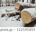 Snowy Log End Texture 122595855