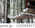 Snowy Winter Rope Park Stepping Stones 122595857
