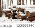 Snowy Log End Texture 122595860