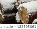 Snowy Log End Texture 122595861