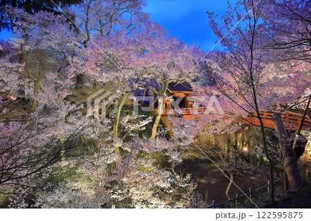【長野県】高遠城址の桜雲橋と夜桜 122595875