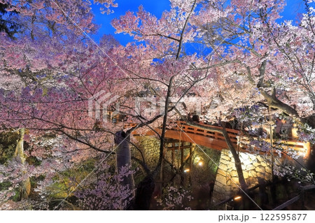 【長野県】高遠城址の桜雲橋と夜桜 【長野県】高遠城址の桜雲橋と夜桜 122595877