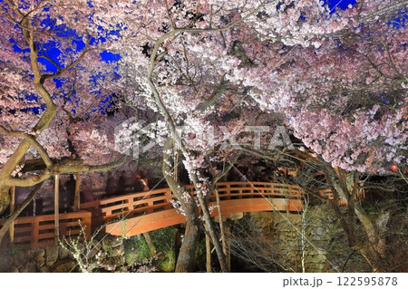 【長野県】高遠城址の桜雲橋と夜桜 【長野県】高遠城址の桜雲橋と夜桜 122595878