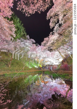 【長野県】シンメトリーな高遠城址の夜桜 【長野県】シンメトリーな高遠城址の夜桜 122595884