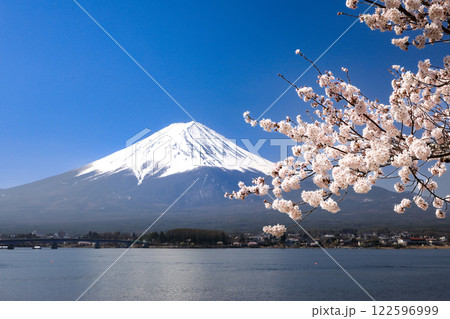 満開桜の河口湖畔から望む富士山 山梨県河口湖町 満開桜の河口湖畔から望む富士山 山梨県河口湖町 122596999