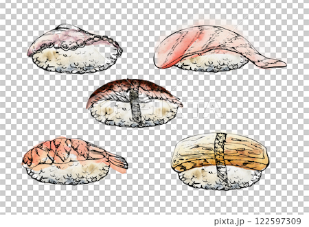 Traditional Japanese food, nigiri sushi with raw fish tuna salmon unagi shrimp, tamagoyaki tako octopus, hand drawn in watercolor, ink. Set of elements for restaurant, cafe menu, kitchen, recipe book 122597309