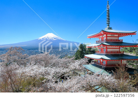 満開桜の新倉山浅間神社忠霊塔と富士山の絶景 122597356