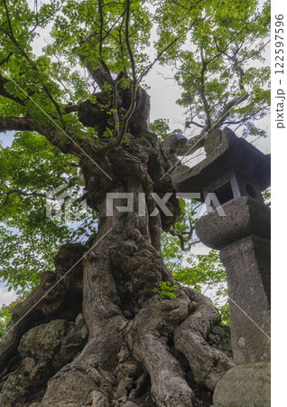 温湯　石割楓　青森、黒石市 122597596