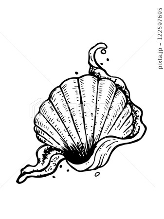 sea vector sketch shell 122597695