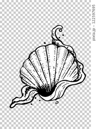 sea vector sketch shell 122597695