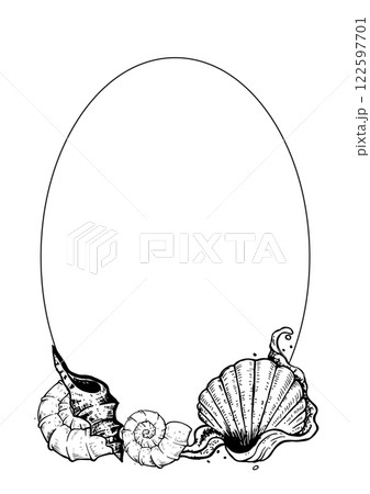 sea vector sketch shell sea vector sketch shell 122597701