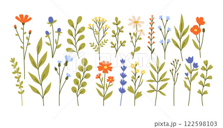 Collection of different wild flowers. 122598103