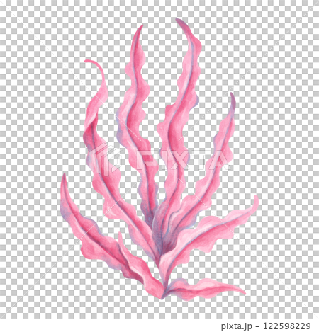 Pink underwater seaweed branch. Watercolor and marker illustration. Hand drawn isolated art. Marine botanical clipart of seaweed. Ocean flora shape. For ecology, travel themed. Kids room design. 122598229