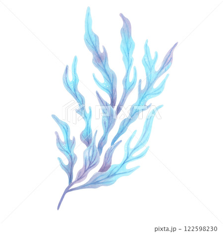 Blue underwater seaweed branch. Watercolor, marker illustration. Hand drawn isolated art. Marine botanical clipart of seaweed. Natural form of ocean flora. Suitable for ecology, health, travel themes. 122598230
